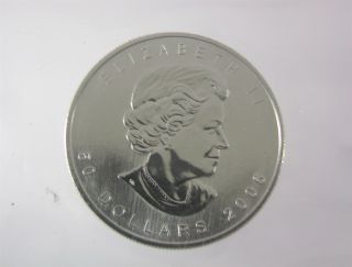 2006 Palladium $50 Maple Leaf 1 Ounce Coin From Canada photo