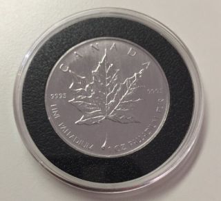 2005 Canada $50 Palladium Maple Leaf Coin,  1.  0 Troy Ounce Bullion - photo