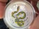 2013 Silver 1 Ounce Year Of The Snake Colorized In Cap Silver photo 1