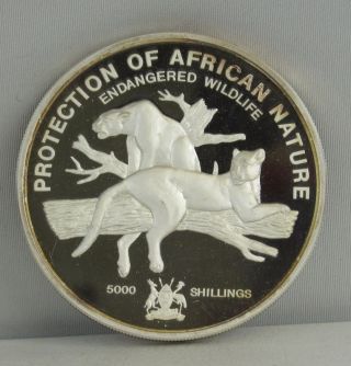Uganda Proof 1993 5000 Shillings 1/2 Kilo.  999 Silver Endangered Wildlife photo