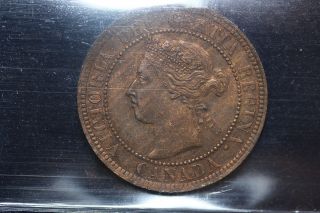1901 Canada.  Large Cent.  Iccs Graded Au - 55 (xcs198) photo