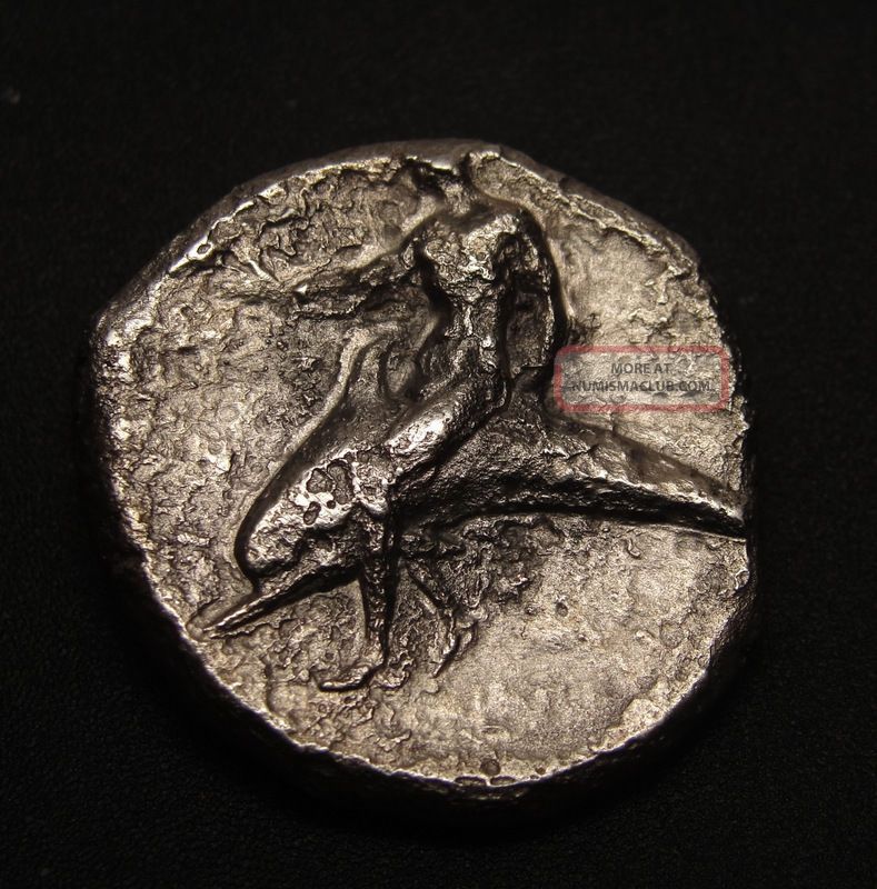 Calabria Tarentum Silver Nomos.  Riding Dolphin &taras Ancient Greek Coin Coins: Ancient photo