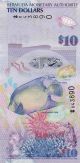 Bermuda 10 Dollars (2009) - Fish/boat/polymer Hybrid/onion Prefix/p59 North & Central America photo 1
