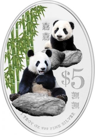 Singapore 2012 $5 Giant Panda Kai Kai Jia Jia Pandas Proof 1 Oz Silver Coin photo