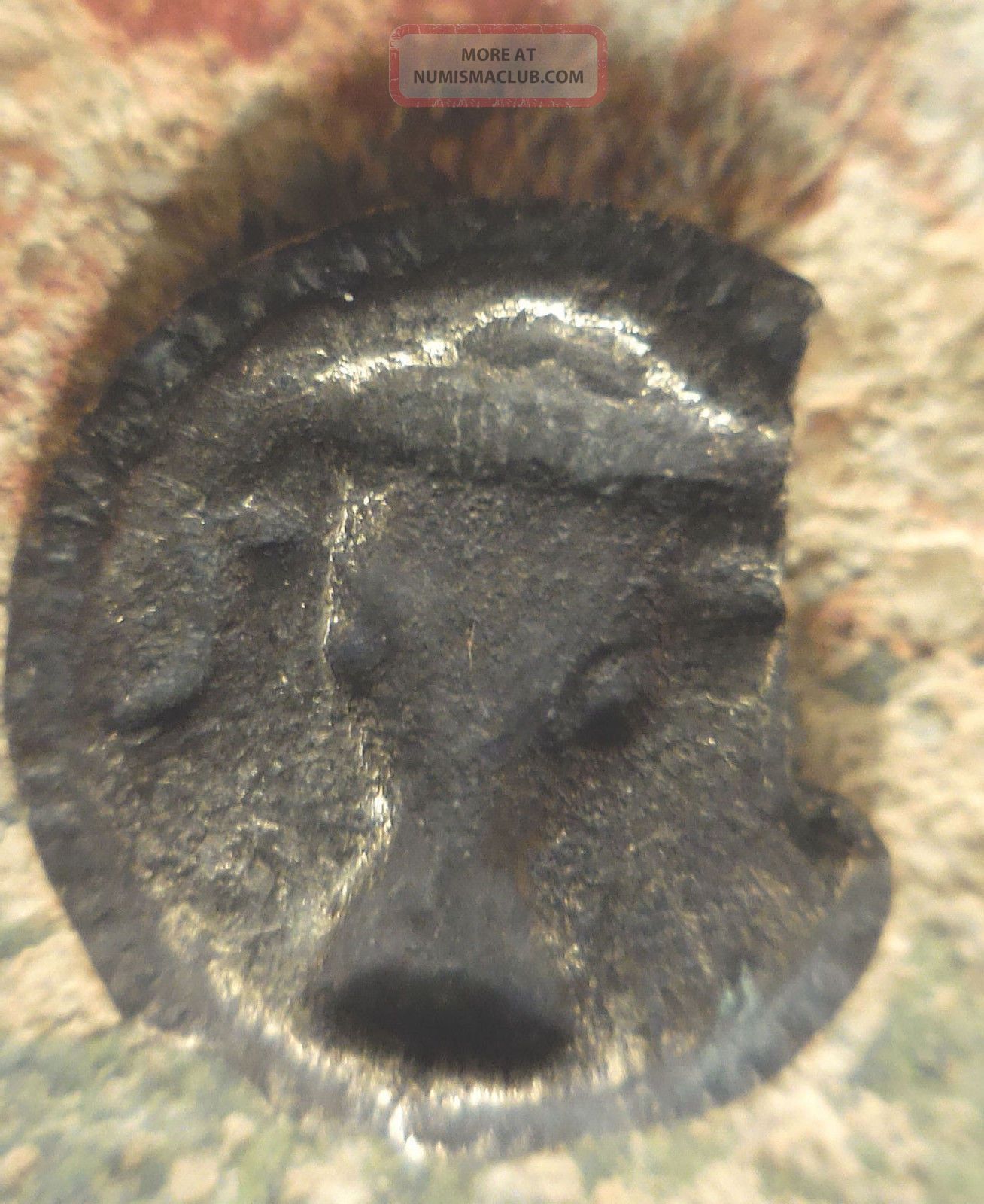 Lucania,  Metapontion.  470 Bc Silver Barley Six Grains Incuse Bucranium (oxskull) Coins: Ancient photo