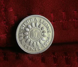 1964 Sierra Leone 10 Cents Proof World Coin Km19 Cocoa Bean Margai Africa photo