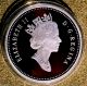 2001 Canada Proof Silver Dollar - 90th Anniversary Of The Silver Dollar Coins: Canada photo 1