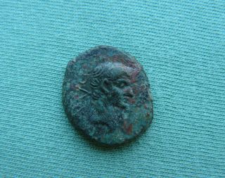 Augustus,  Macedonia,  Phillipi,  14 Ad.  Bronze.  Two Priests With Oxes.  A2 photo
