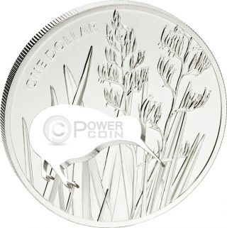 Kiwi Silhouette Laser Cut Silver Proof Coin 1$ Zealand 2015 photo