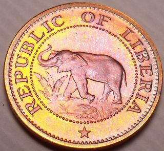Rare Proof Liberia 1974 Cent Elephant Coin 9,  362 Minted Fantastic photo