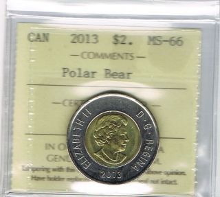 2013 Polar Bear Canada $2 Dollar Iccs Graded Ms - 66 photo