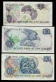 1981 - 92/1990 Reserve Bank Of Zealand $2 And 2 X $10 Qeii Axf/xf Australia & Oceania photo 1