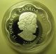 2013 Proof $15 Lunar Lotus 4 - Year Of The Snake Canada.  9999 Silver Fifteen Doll Coins: Canada photo 3