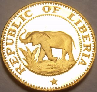 Extremely Rare Proof Liberia 1977 Cent Elephant Coin Only 920 Minted photo