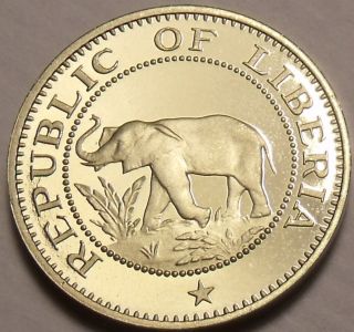 Extremely Rare Proof Liberia 1977 5 Cents Elephant Coin Only 920 Minted Shi photo