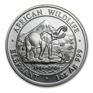 2006 1 Oz 999 Somali Fine Silver African Wildlife Elephant Somalia Coin photo