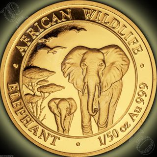 2015 Somalia Gold Elephant 1/50 Oz 24k Proof Coin In Capsule African Wildlife photo