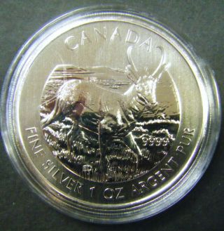2013 Canada $5 Antelope Wild Life Series 1oz.  9999 Fine Silver Bullion Coin photo