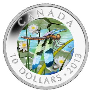 2013 $10 Twelve - Spotted Skimmer Fine Silver Coin photo