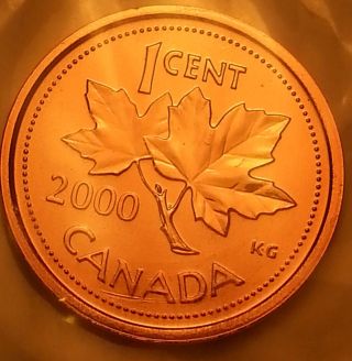 2000 Canada 1 Cent Prooflike Wrap Plastic Dm47 photo