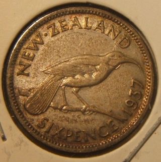 1937 Zealand 6 Pence Silver Coin Xf - Au photo