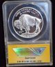 2001 P United States Proof Buffalo Silver Dollar Anacs Pf 69 Dcam Silver photo 4