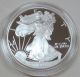 1999 - P Proof American Silver Eagle With & Silver photo 1
