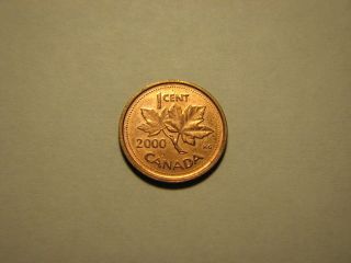 2000 – Canada – 1cent Coin photo