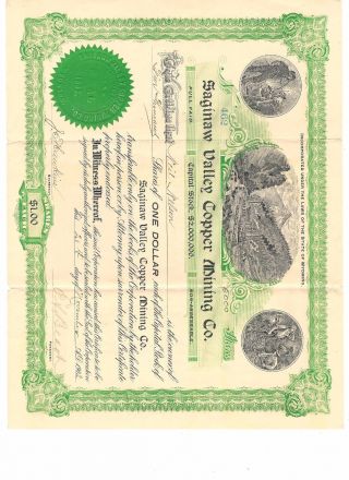 Saginaw Valley Copper Mining Company Stock Certificate,  5000 Shares X$1 Vintage photo