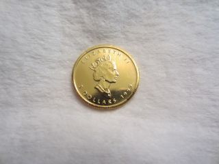 1999 Canada Five Dollar $5 Gold Maple Leaf,  Proof,  Flawless,  1/10 Oz Gold photo
