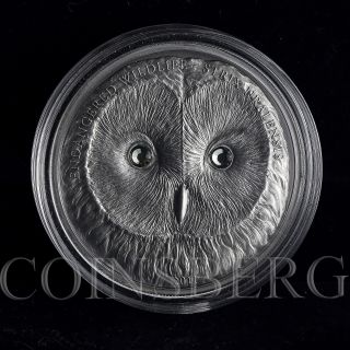 Mongolia 500 Togrog Wildlife Ural Owl Strix Uralensis Silver Coin Swarovski 2011 photo