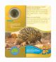 2008 Young Collectors Australian Animals $1 Spiny Echidna Coin Perth,  Bu Australia photo 2