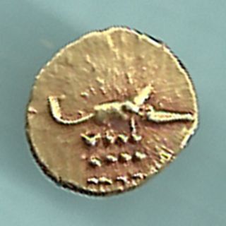 Dutch - Narsimha Pulicat - Gold Fanam - Rarest Different Variety Gold Coin photo