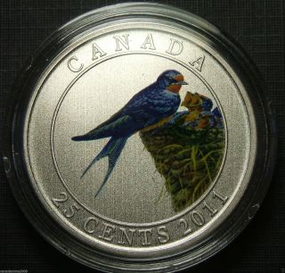 2011 Canada 25 - Cent Barn Swallow Coin photo