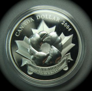 2004 Silver Canada Proof Poppy Dollar In Plastic Capsule photo