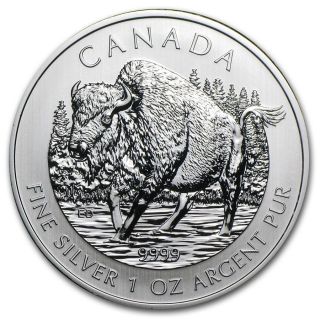 2013 1 Oz.  9999 Fine Silver Canadian Maple Leaf Wood Bison Wildlife Series photo
