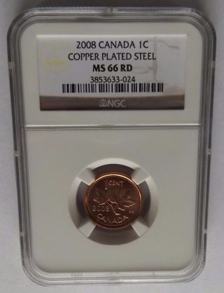 2008 Canada Ngc Ms66 Rd Copper Plated Steel Cent photo