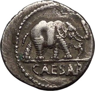 Julius Caesar Elephant Serpent 49bc Authentic Ancient Silver Roman Coin I52906 photo
