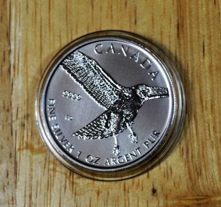 2015 - 1 Oz Pure (. 9999) Silver - Red Tail Hawk - Royal Canadian photo