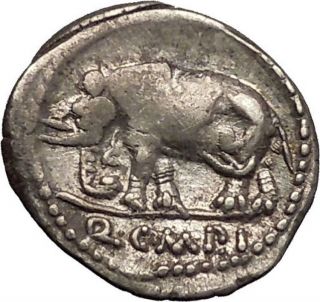 Roman Republic Sulla Imperator Metellus Pius Elephant Stork Silver Coin I52638 photo