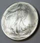 1994 1 Oz.  American Silver Eagle Bu (brilliant Uncirculated) 99.  9 Pure Silver Coins photo 1