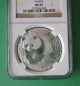 2002 China Silver Panda S10 Yuan 1 Oz.  999 Silver Chinese Coin Ngc Ms 69 China photo 1