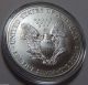 1999 Colorized American Silver Eagle Dollar Bullion Coin Coins: US photo 1