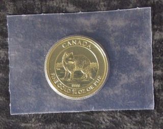 2014 Canada $10 Gold Coin; 0.  25 Troy Oz; 9999 Fine Gold - Arctic Fox - photo