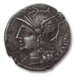 , Ar Denarius M.  Baebius Q.  F.  Tampilus,  Rome 137 B.  C. , photo