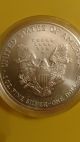 2012 Walking Liberty Silver Dollar Silver photo 2