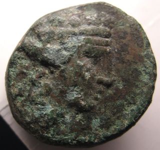 Ancient Greek Coin/maroneia/thrace/dionysus/ivy/grapes/narthex Wands photo
