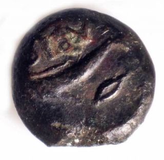 Ancient Greek Sarmatia Olbia Black Sea Olbio Coin 360 - 320 Bc.  Cast Ae Ol photo