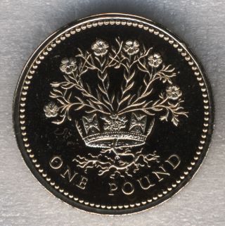 Great Britain 1 Pound 1986 Bu Flax Plant Northern Ireland Queen Elizabeth Ii photo