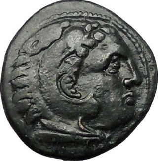 Kassander Killer Of Alexander The Great Son Ancient Greek Coin Horse I55492 photo